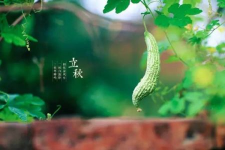 立秋习俗知多少