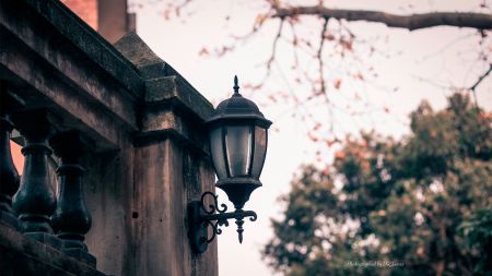 有关象声词作文汇总