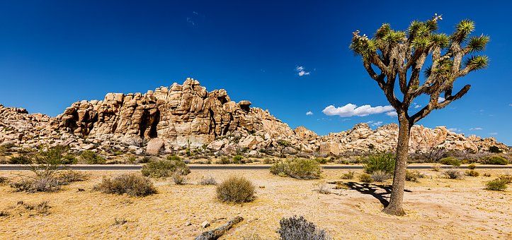 美国伍斯特理工学院基本概况