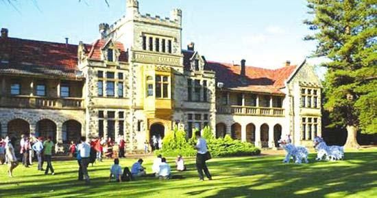 2019伦敦政治经济学院学费