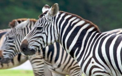 2018年美国最佳购物目的地TOP10(西棕榈滩篇)