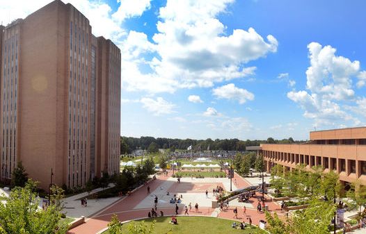 2018谢菲尔德大学世界排名