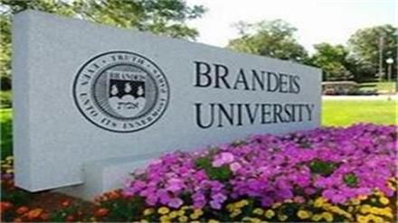 林同学成功申请布兰迪斯大学 这是新年最好的礼物