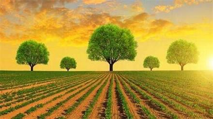 2019年美国新学院可持续发展策略专业硕士申请条件