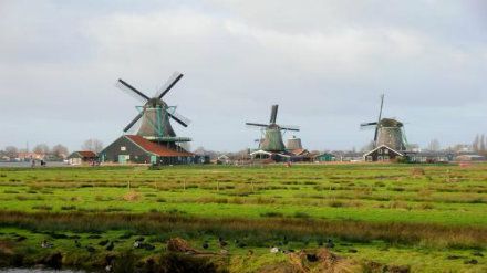 2018QS荷兰大学专业排名