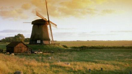 2018最新荷兰大学专业排名