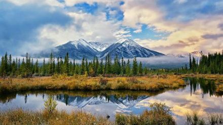 2018最新澳洲大学专业排名