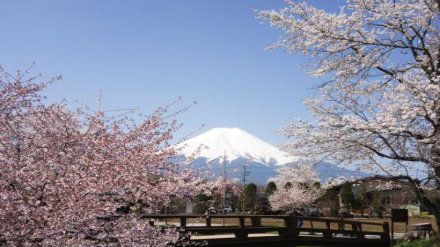 2018泰晤士日本大学排名Top50