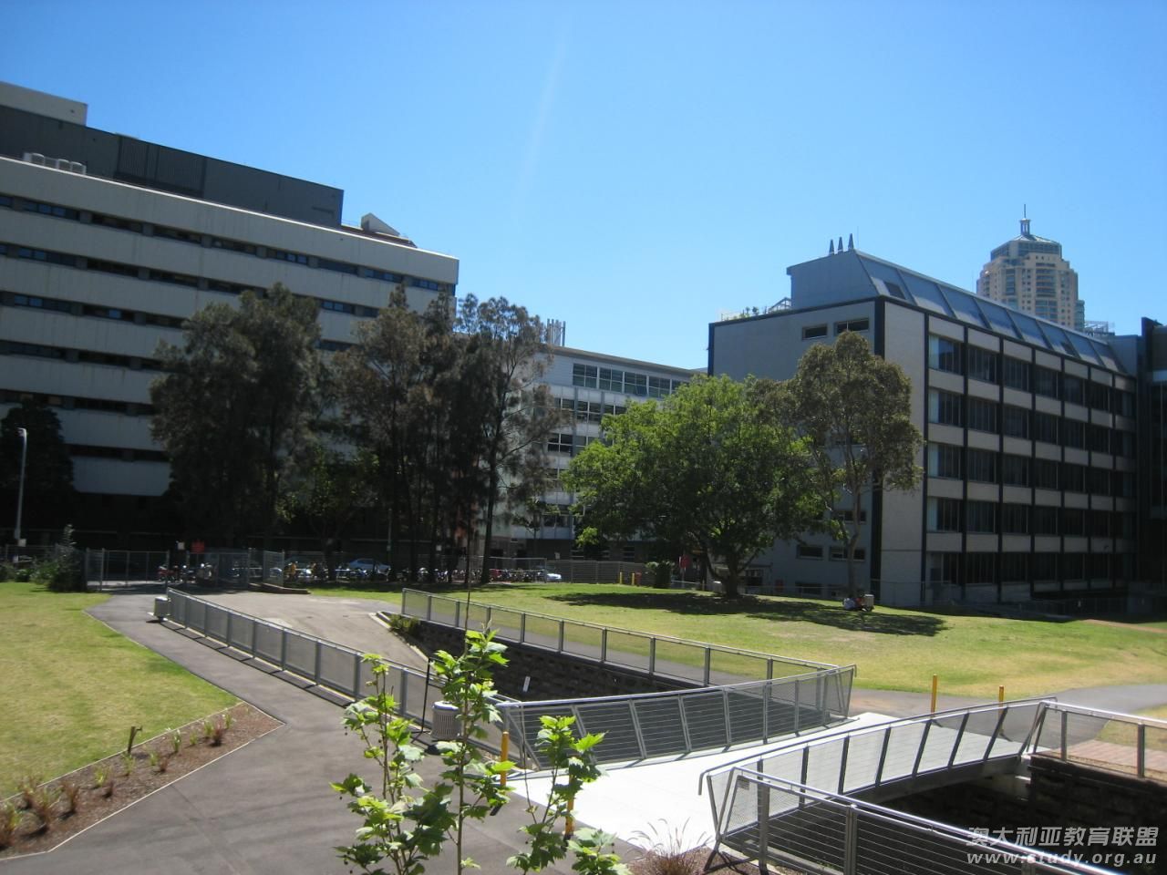 澳大利亚留学 就读卧龙岗大学优势显著