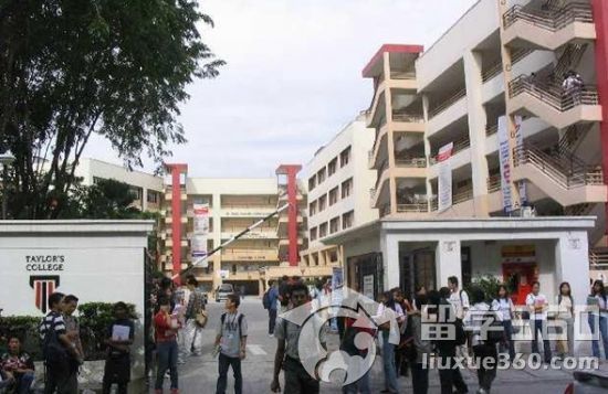 新西兰留学 盘点泰勒学院预科课程优势