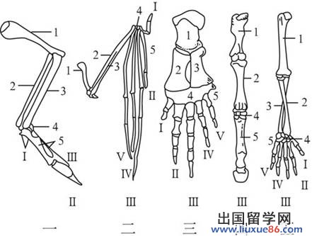 H:\生物\生物解析八下\jpg\7-3-4 副本.jpg