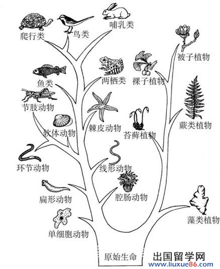 D:工作生物生物解析八下jpg7-3-5 副本.jpg