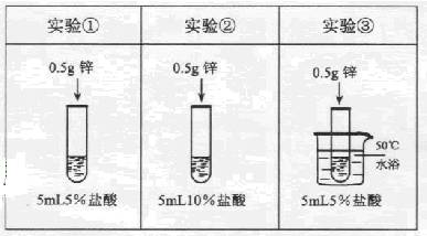 21世纪教育网 -- 中国最大型、最专业的中小学教育资源门户网站