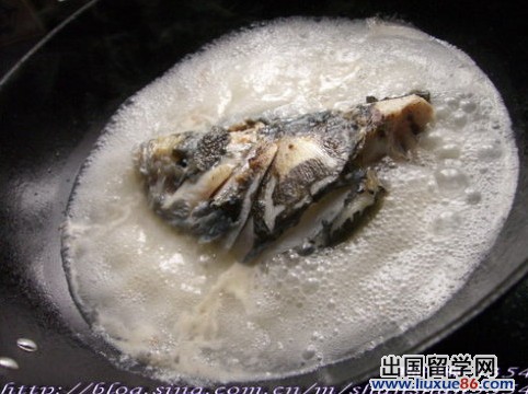 芜茜鱼头豆腐汤