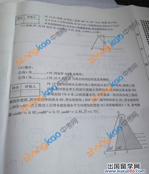 2013河南中考数学
试题