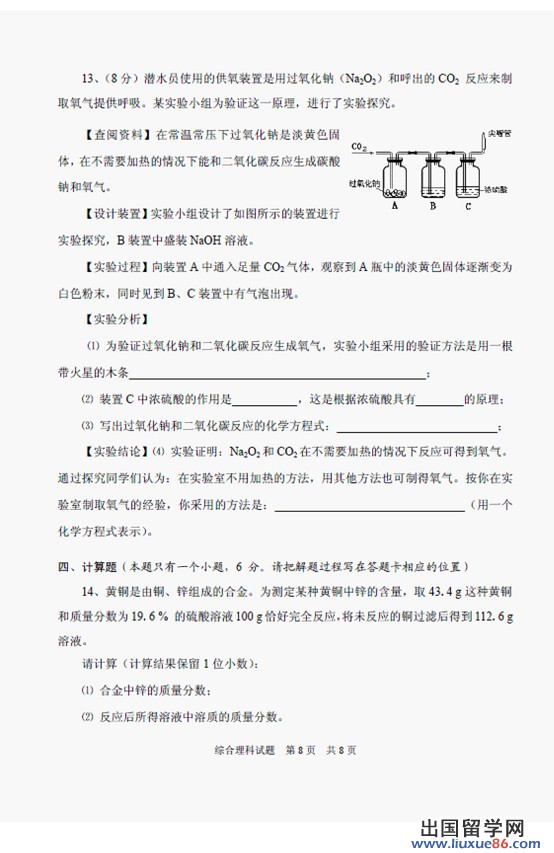 2013安顺中考化学 试题