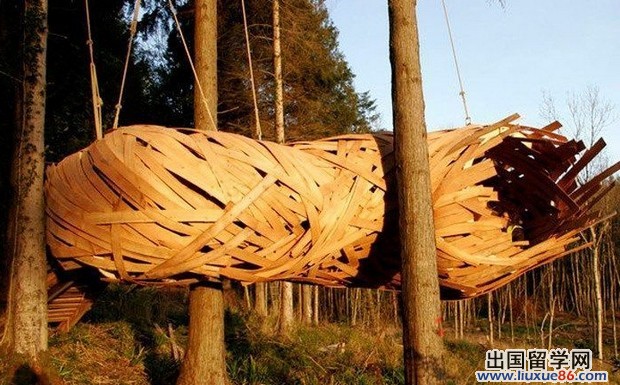 英国建筑学院学生打造原生态树屋 似巨型虫茧
