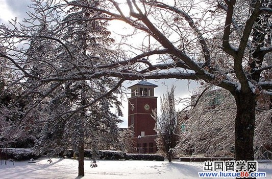 杜鲁门州立大学留学入学要求介绍