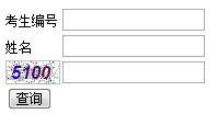 点击进入查分入口