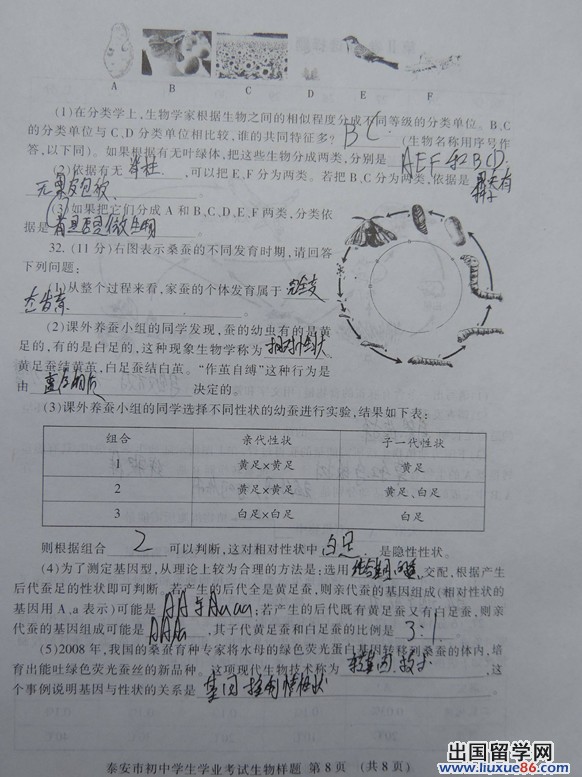 山东泰安2013年中考生物真题（图片版）