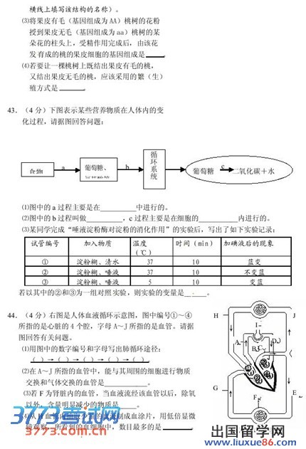 湖北荆门2013年中考生物试题（图片版）