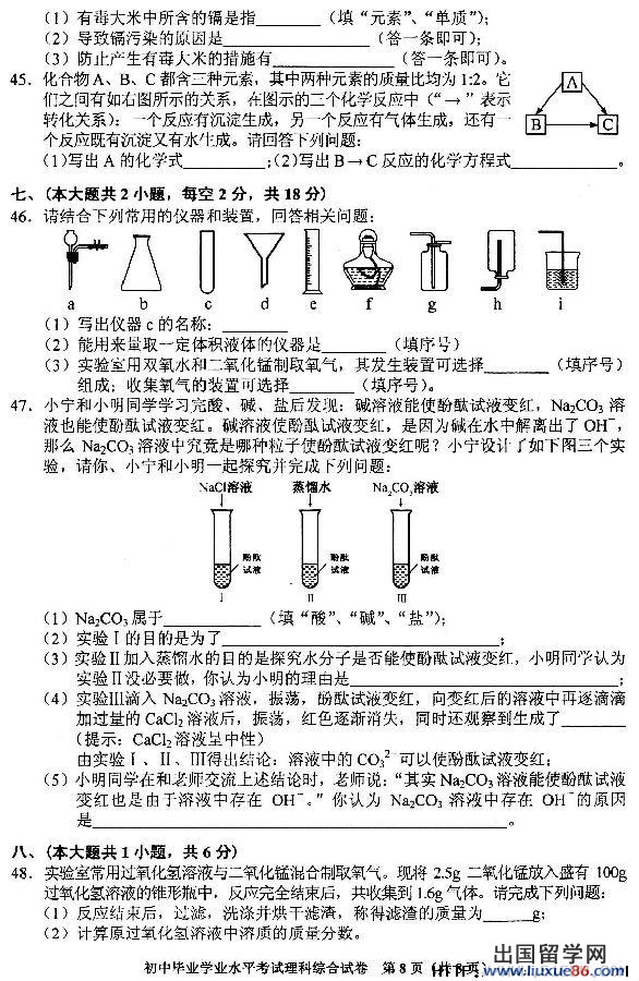 湖南长沙2013年中考化学真题(图片版)