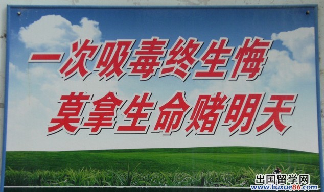 反毒品日活动心得体会
