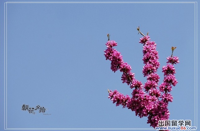 朝花夕拾读后感400字范文