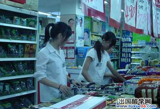 大学生暑假实习报告总结