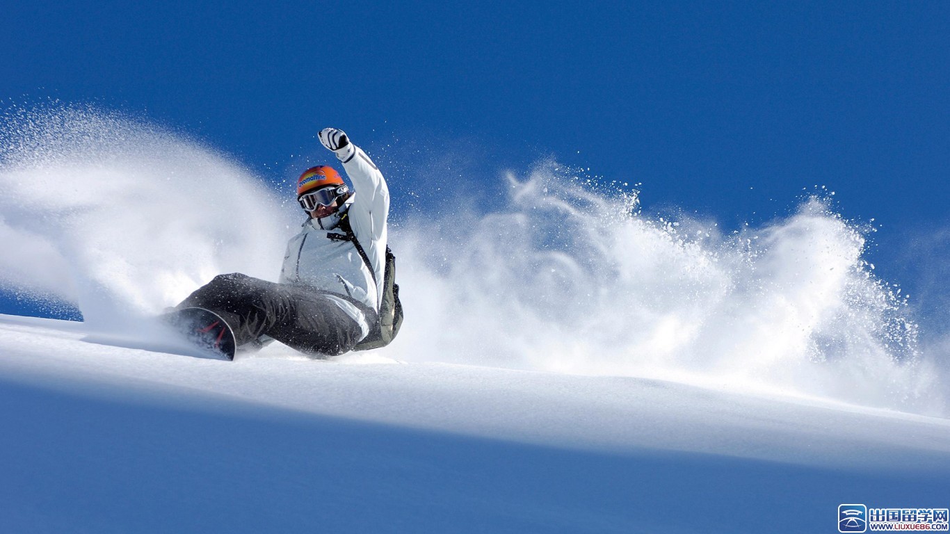 运动会作文大全