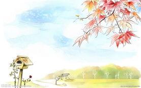 非主流唯美个性签名