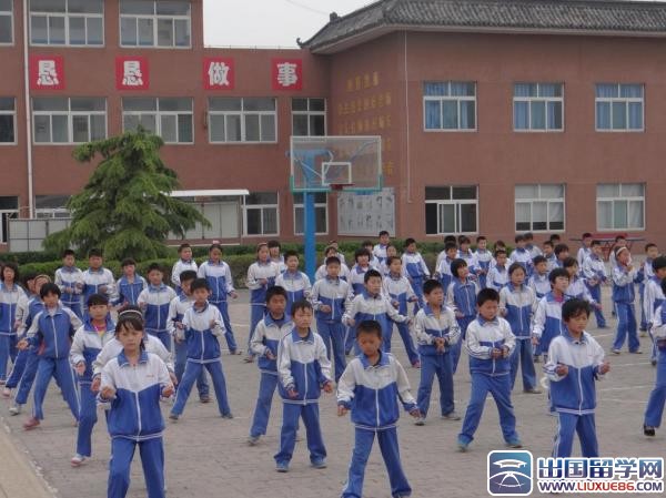 一学年学校工作总结