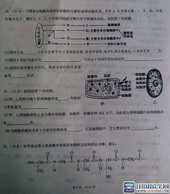 高考生物试题