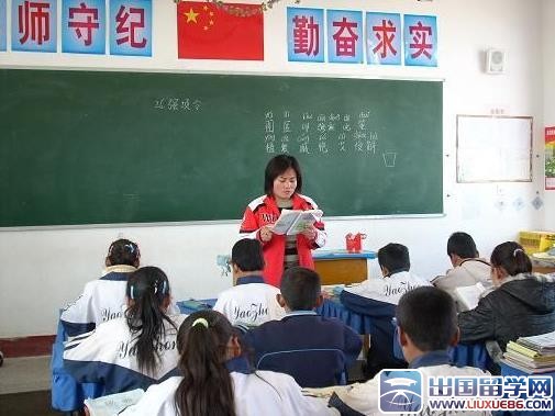 试用期教师工作总结