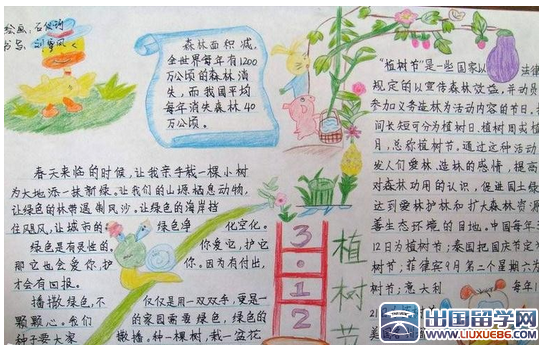 植树节手抄报图片