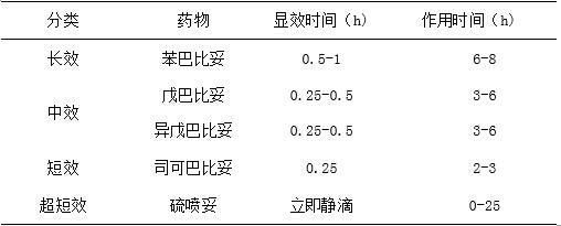 https://m.liuxuequn.com/zhiyeyaoshi/