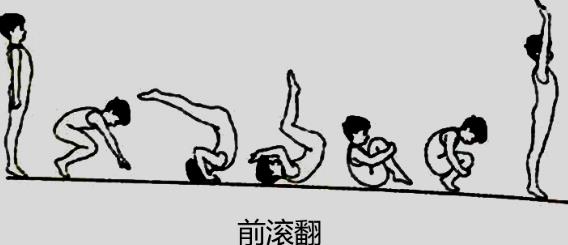 2016上半年教师资格证考试《小学教育教学知识与能力》真题答案解读(名师版)