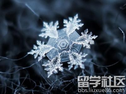 关于雪的作文150字