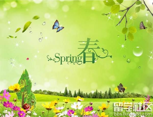 春天生活常识【衣食住行学用玩】