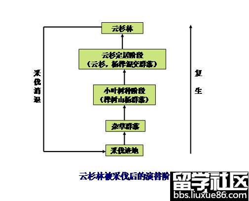 2013年成考专升本《生态学基础》复习：第十章 群落的动态