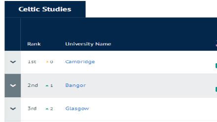 2019CUG英国大学专业排名 凯尔特研究专业