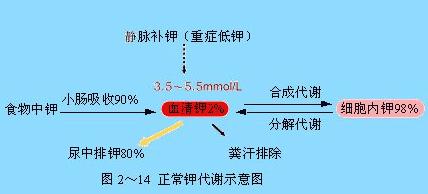 2018年卫生资格《主管药师》基础知识辅导(19)