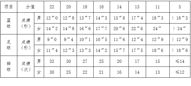 球类自选项目评分标准