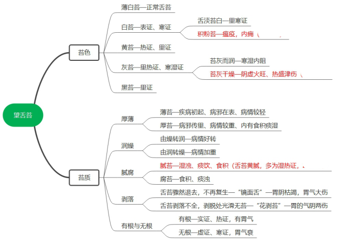 2022执业药师《中药综》高频考点：望诊—望舌苔