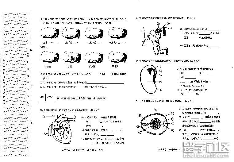 f6771b407ce383932aebc0febe7fedaf.jpg