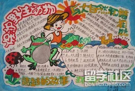 小学生保护动物主题手抄报