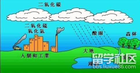 酸雨.jpg