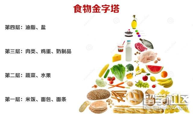 科学饮食.jpg