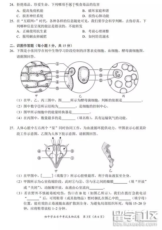 QQ截图20180622114850.png