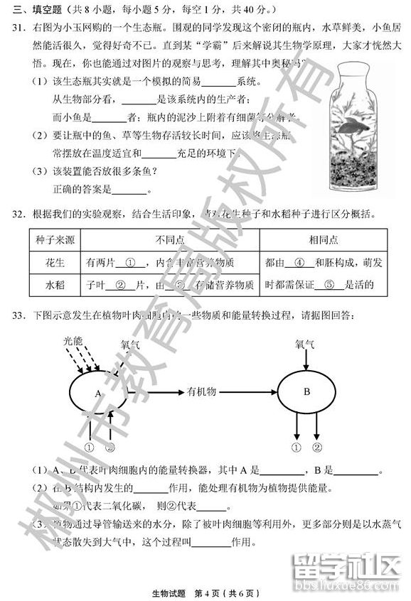 QQ截图20180706180050.png